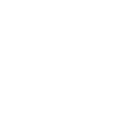 Pinecone Academy logo